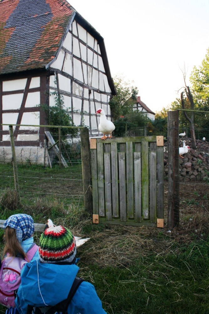 Auf dem Weg zum Spielplatz