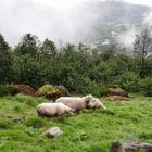 Auf dem Weg zum Storseterfossen 1