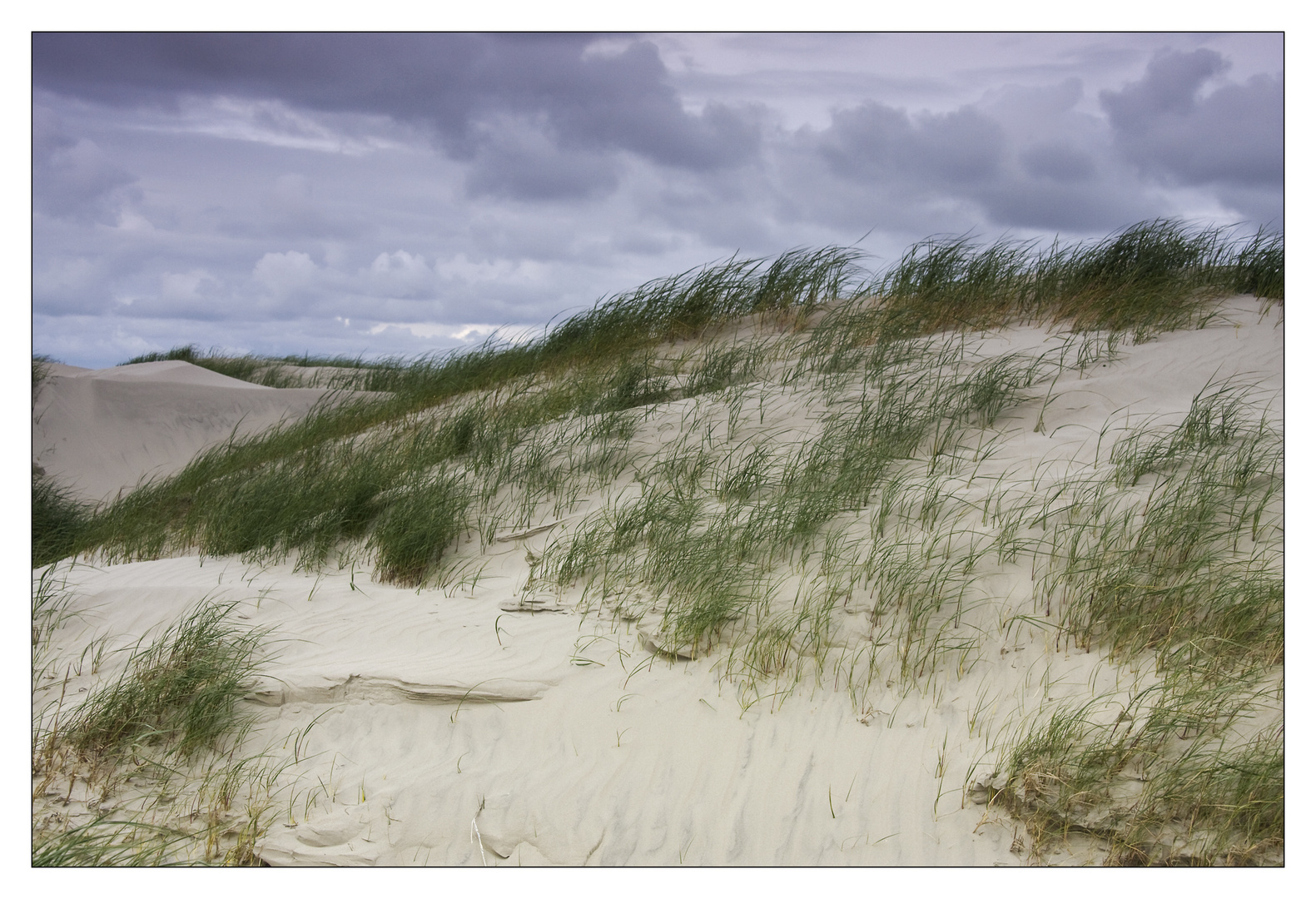 Auf dem Weg zum Strand