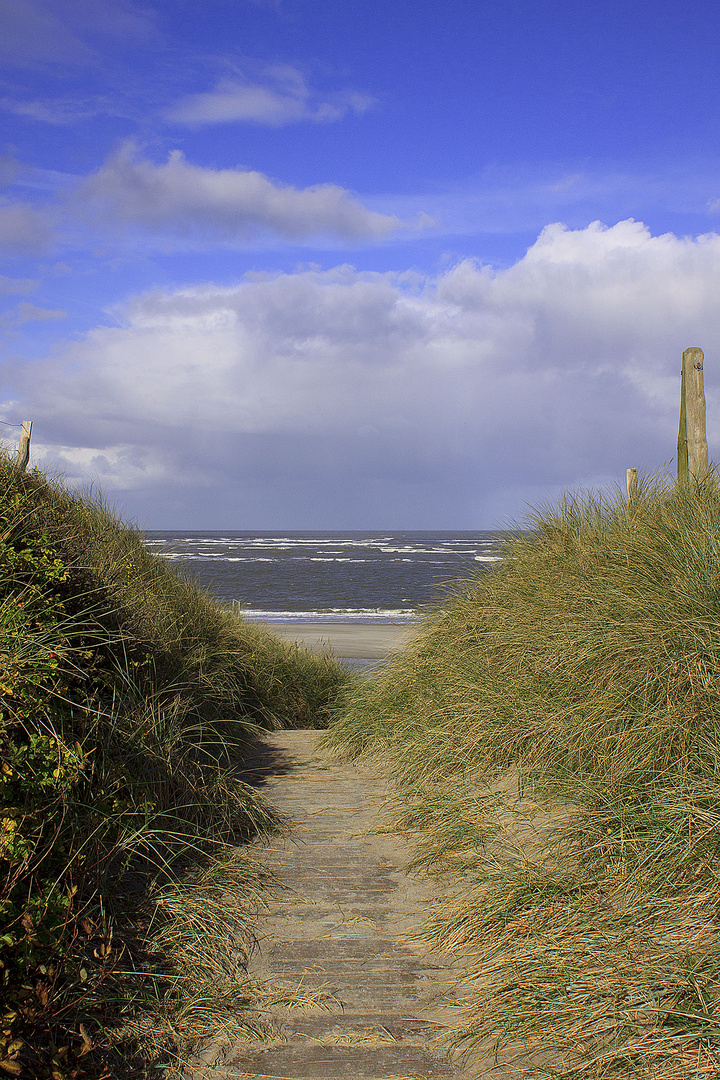 auf dem Weg zum Strand