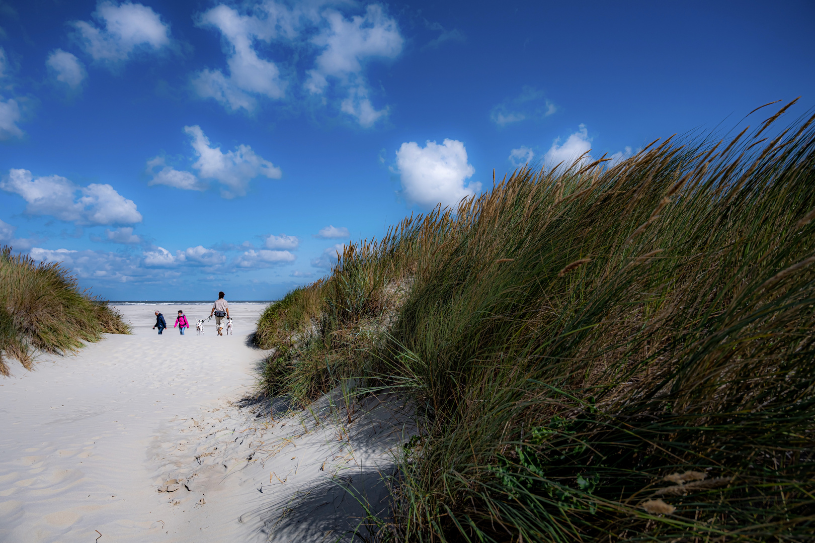 Auf dem Weg zum Strand