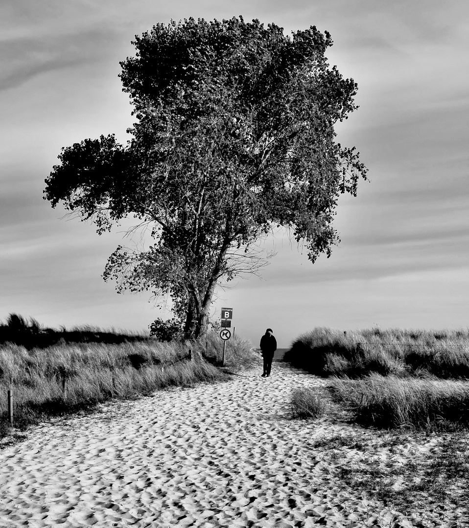 Auf dem Weg zum Strand