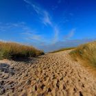 Auf dem Weg zum Strand ...