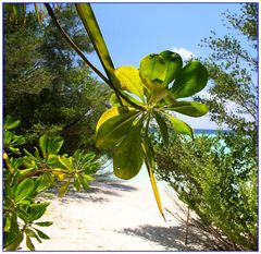 auf dem Weg zum Strand...