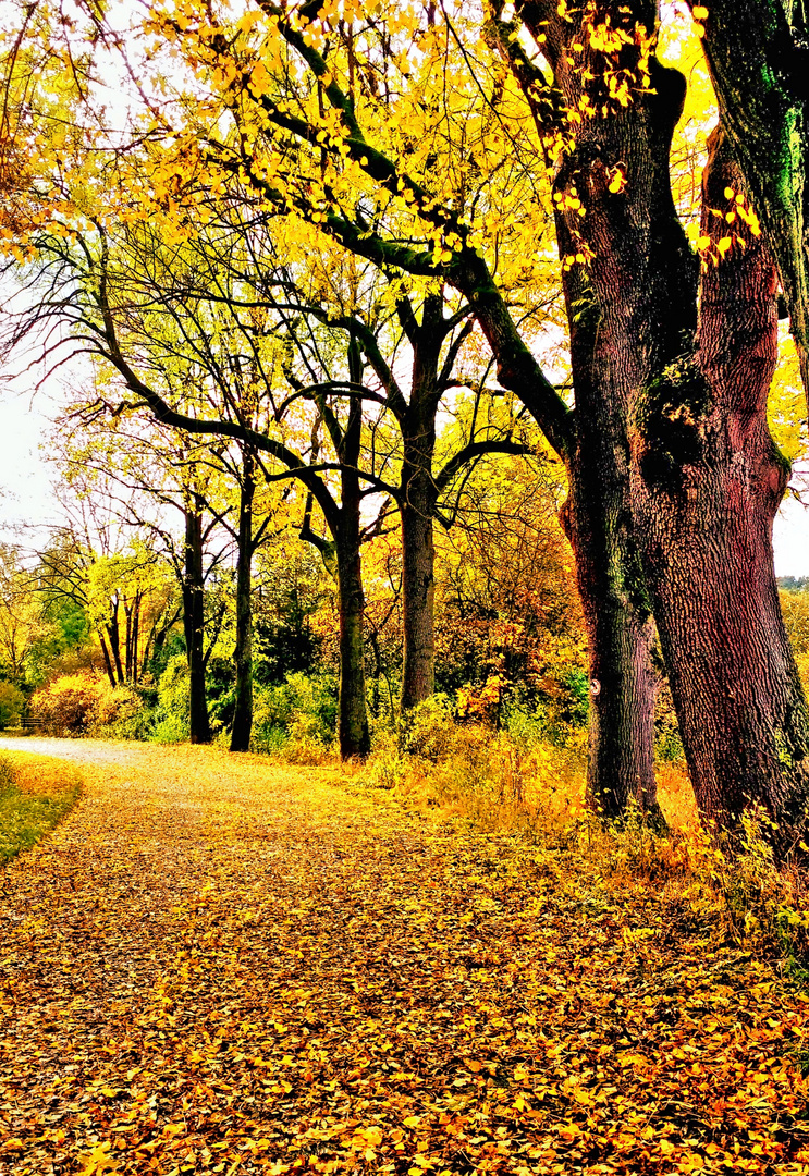 Auf dem Weg zum Südfriedhof