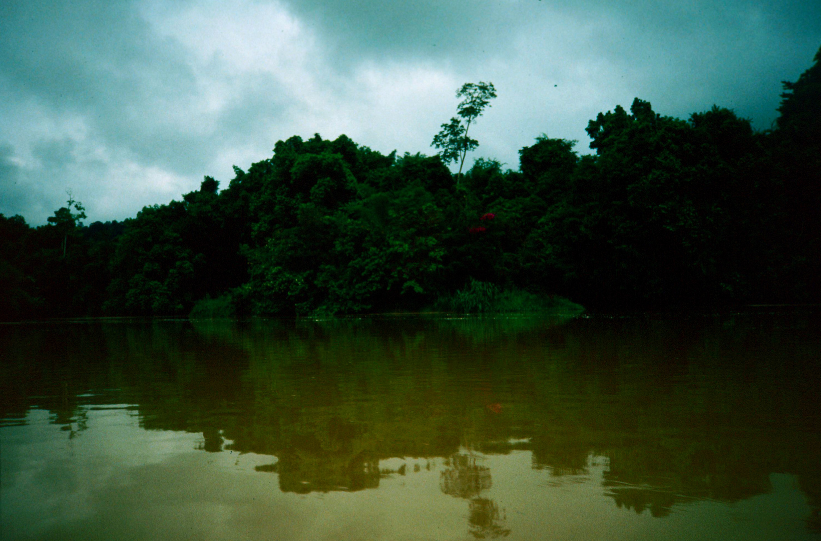 Auf dem Weg zum Tasik Chini - November 1988