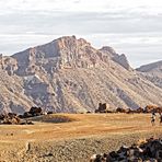 ... auf dem Weg zum Teide ...