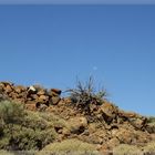 auf dem Weg zum Teide