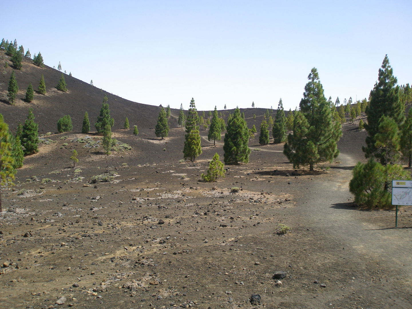 Auf dem Weg zum Teide (Teneriffa)