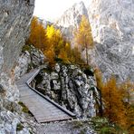 Auf dem weg zum Trischübel