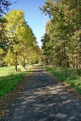 Auf dem Weg zum Turm