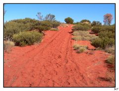 auf dem Weg zum Uluru (1)