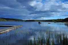 Auf dem Weg zum Vildmarksvägen in Schweden