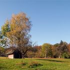 auf dem Weg zum Wald....