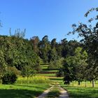 Auf dem Weg zum Wald.....