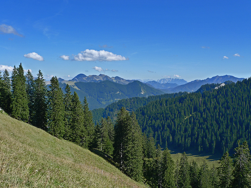 Auf dem Weg zum Wallberg...