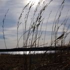 auf dem weg zum wasser