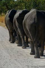 Auf dem Weg zum Wasser