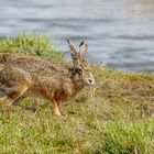 Auf dem Weg zum Wasser