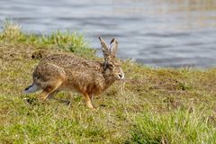 Auf dem Weg zum Wasser