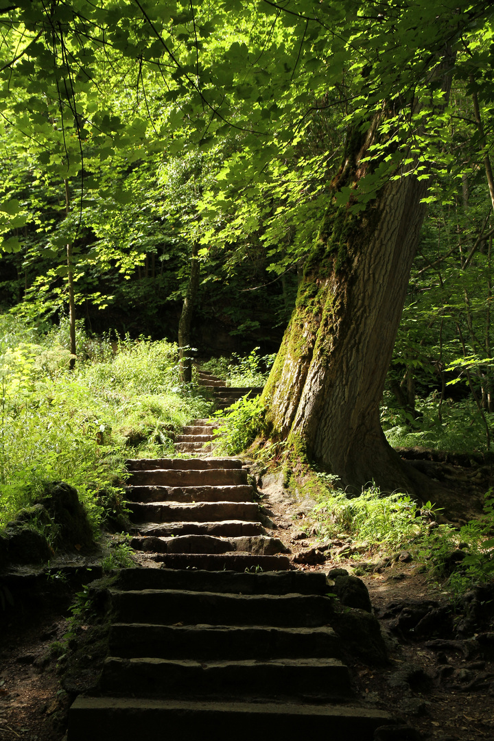 Auf dem Weg zum Wasserfall in Bad Urach