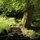 Auf dem Weg zum Wasserfall in Bad Urach