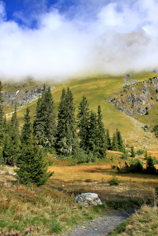 Auf dem Weg zum Wiegensee (1)