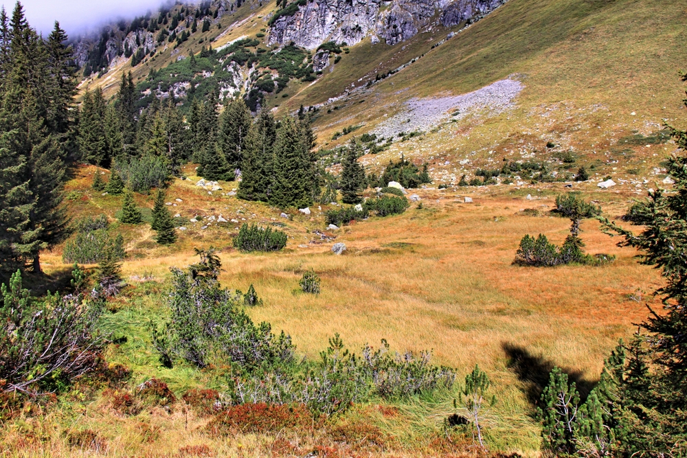 Auf dem Weg zum Wiegensee (2)