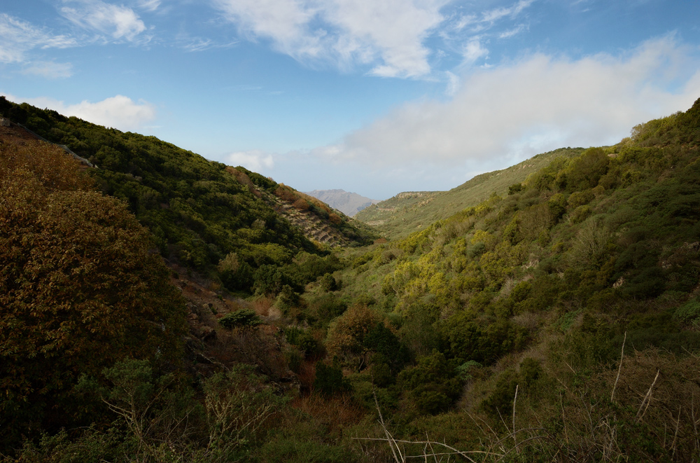 auf dem Weg zum Zauberwald, La Gomera