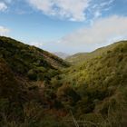 auf dem Weg zum Zauberwald, La Gomera