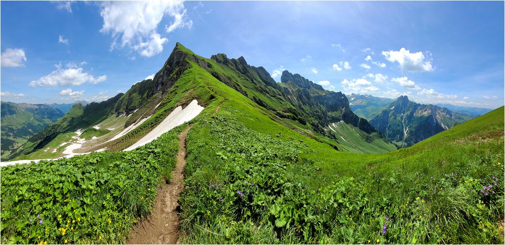 Auf dem Weg zum Zeigersattel (1)