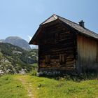 Auf dem Weg zur Alm