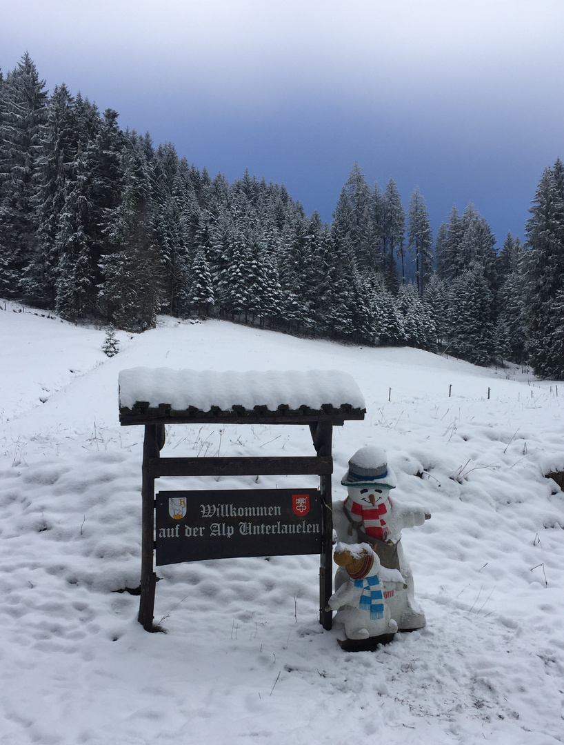 Auf dem Weg zur Alp Unterlauelen