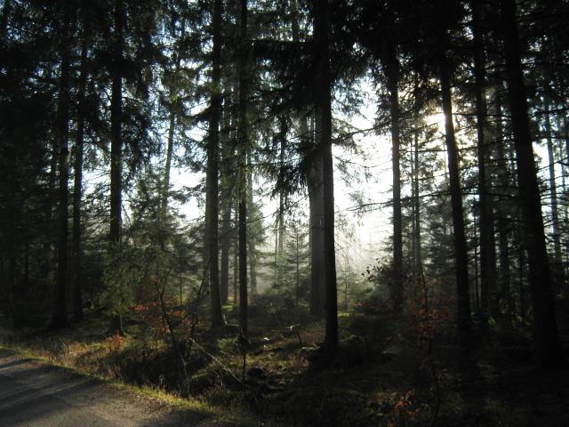 auf dem Weg zur Arbeit....