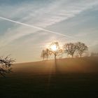 Auf dem Weg zur Arbeit 