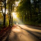 auf dem Weg zur Bastei