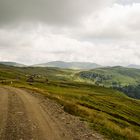 Auf dem Weg zur " Blutigen Alm "