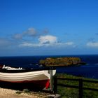 Auf dem Weg zur Carrick-a-Rede-Rope-Bridge