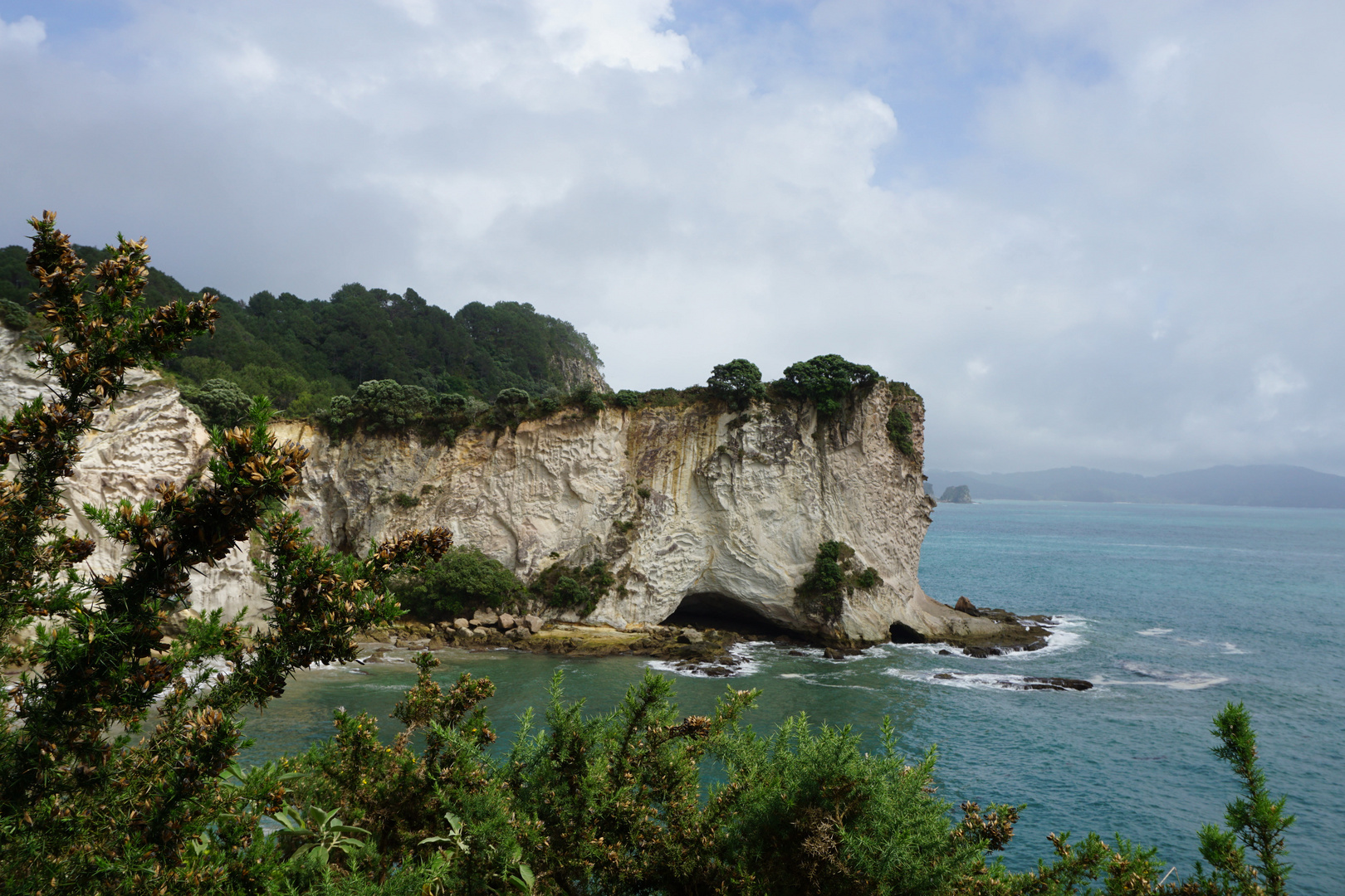 Auf dem Weg zur Cathedral Cove in Coromandel