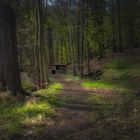 Auf dem Weg zur Dammhütte