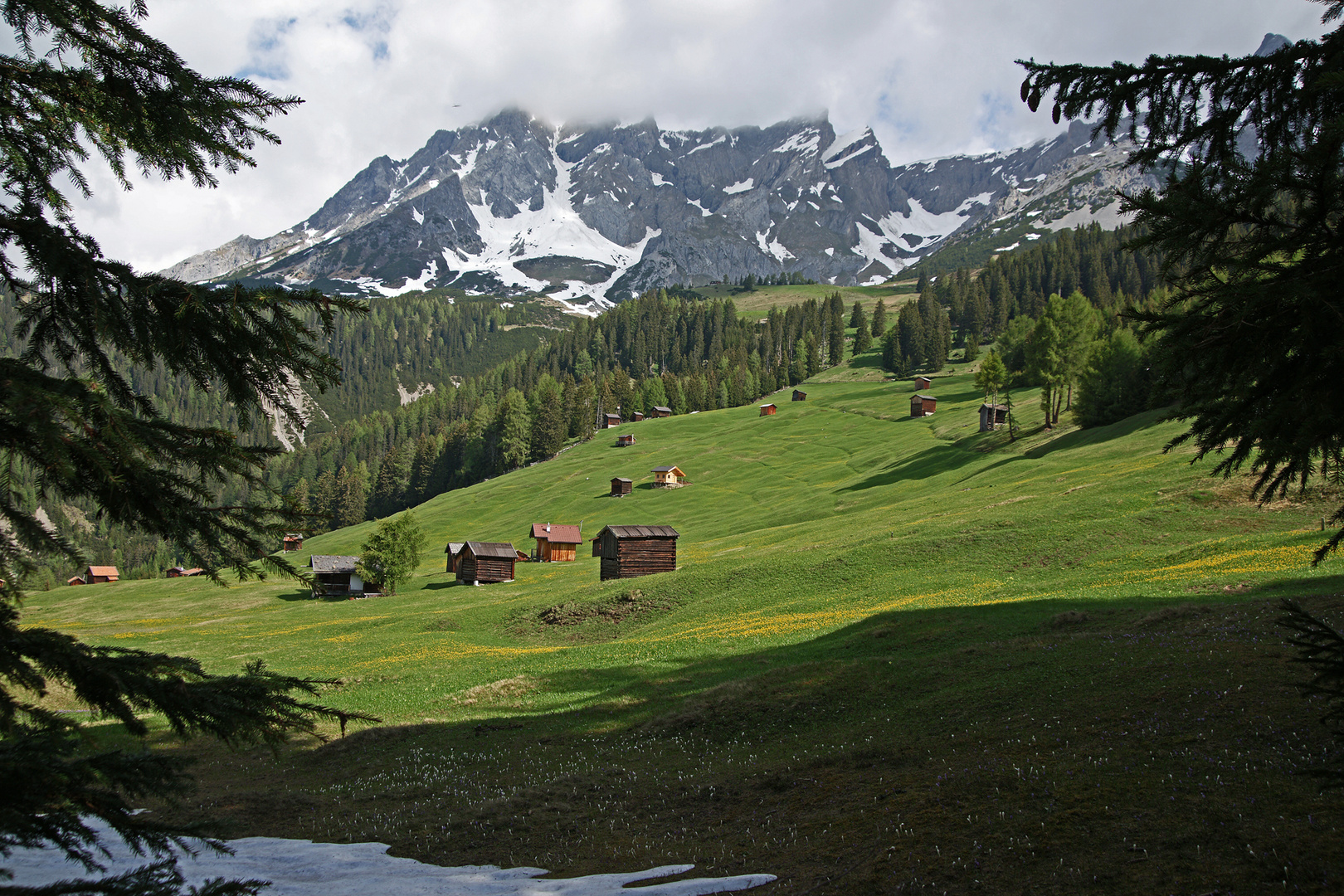 auf dem Weg zur Dawin-Alm 2