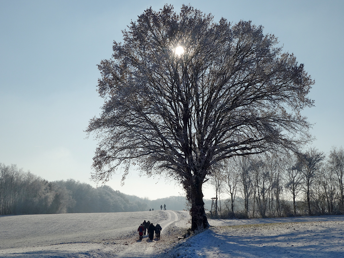 Auf dem Weg zur Erpeler Ley