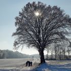 Auf dem Weg zur Erpeler Ley