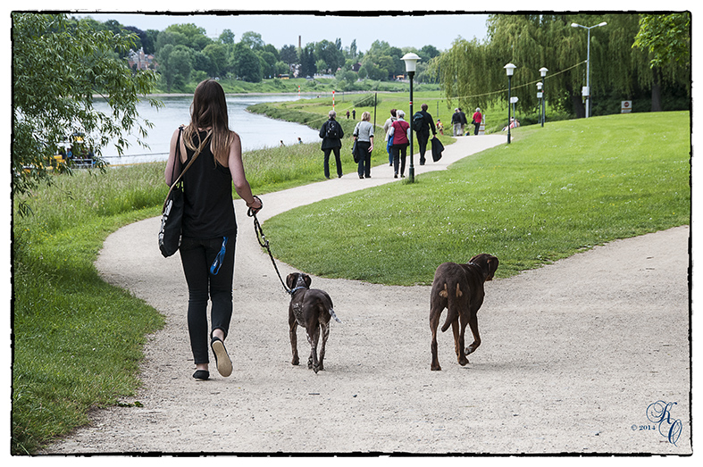 Auf dem Weg zur Fähre