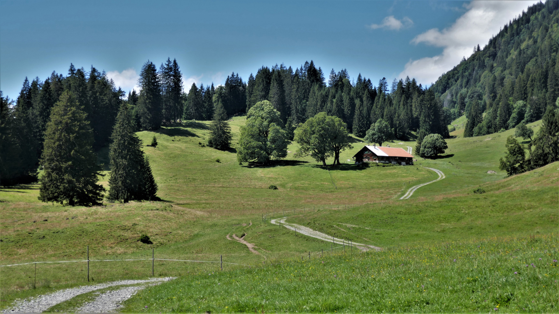 Auf dem Weg zur Falkenalpe