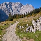 ... auf dem Weg zur Falkenhütte ...