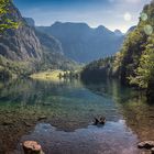 Auf dem Weg zur Fischunkelalm