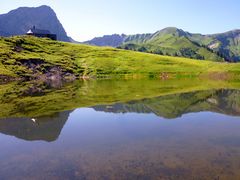 Auf dem Weg zur Flounalp ...