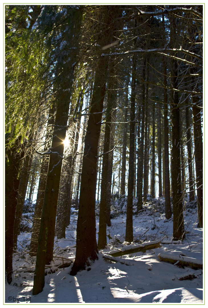 Auf dem Weg zur Glör Talsperre