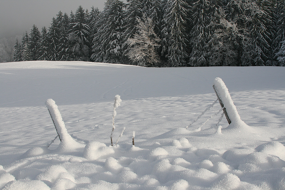 Auf dem Weg zur Gupfalm